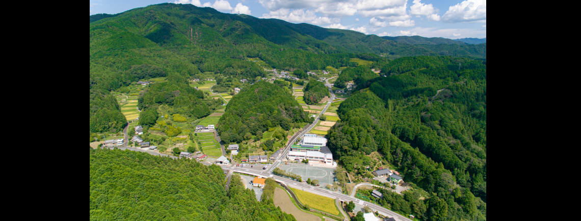 田沢