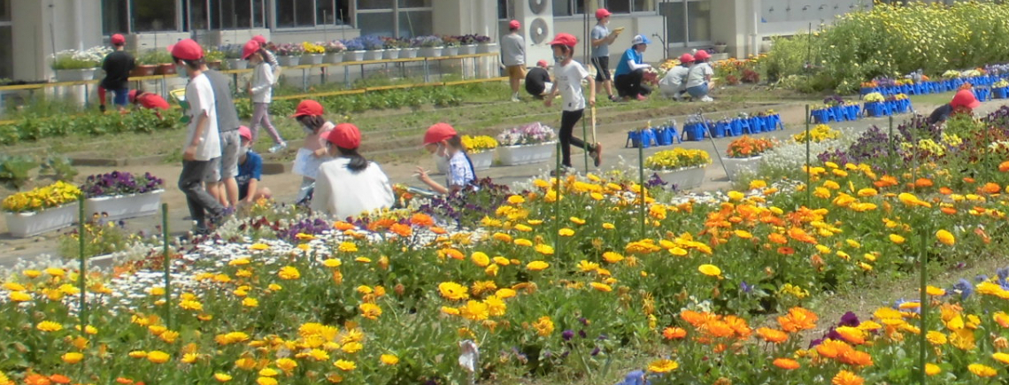 にじいろ花壇